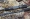 Спиннинг Norstream Spiker 802ML 2.44 м 4 - 14 гр