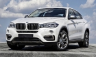 Гарант Форт BMW X6 /2015-/ ЭлГУР